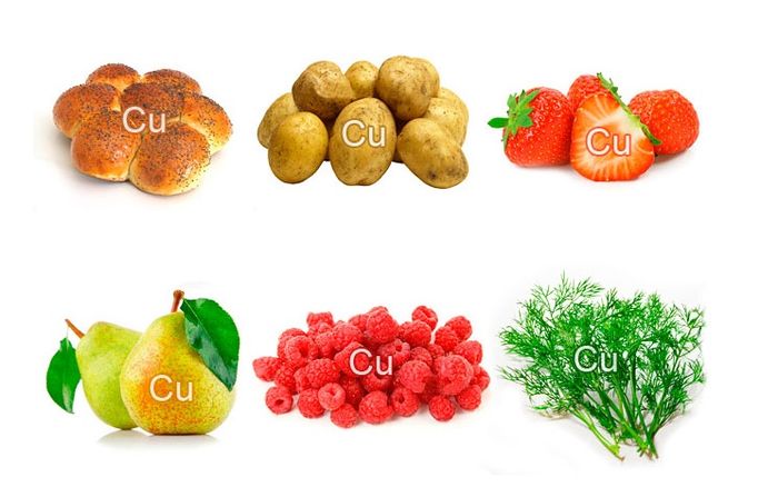 В каких продуктах содержится медь