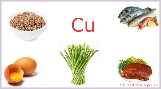 В каких продуктах содержится медь