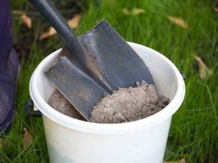 В какое время и как подкормить помидоры золой?