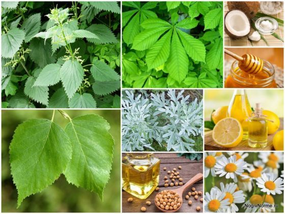 Варикобустер при варикозе – инструкция по применению, отзывы, аналоги, форма выпуска, побочные действия, противопоказания, цена