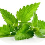 Варикобустер при варикозе – инструкция по применению, отзывы, аналоги, форма выпуска, побочные действия, противопоказания, цена