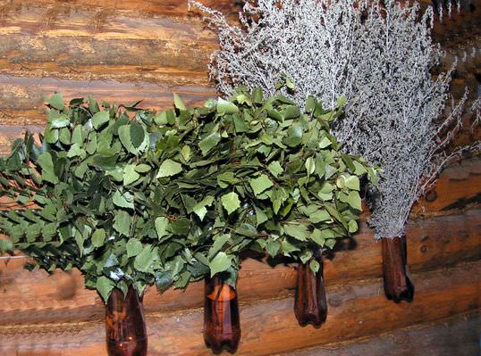 Веники для бани для здоровья тела и легкости духа – всё о банях