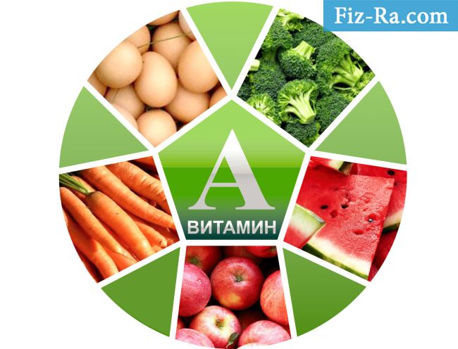 Витамин а роль в организме