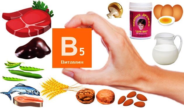 Витамин б5 где содержится