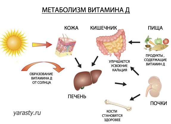 Витамин д для кожи