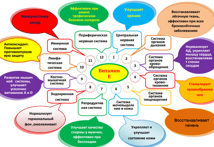 Витамин е чем полезен