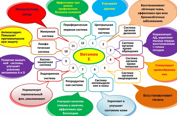 Витамин e для чего нужен