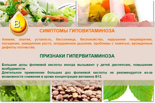 Витамин в 9 фолиевая кислота