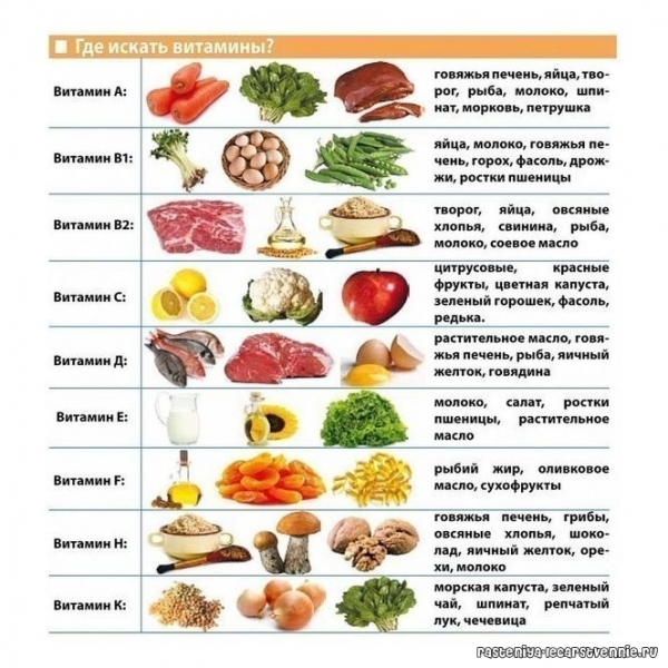 Витамин в для чего полезен