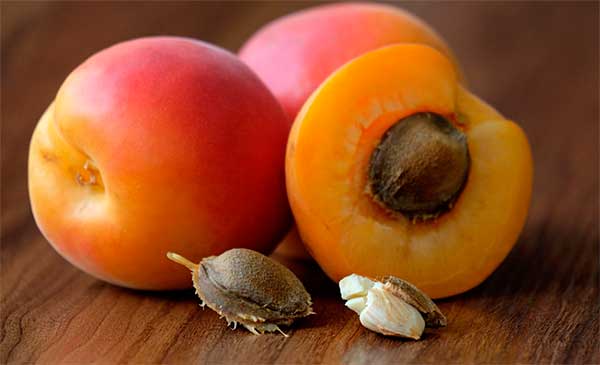 Витамин в17 для чего нужен организму