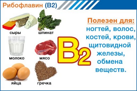 Витамин в2 для чего