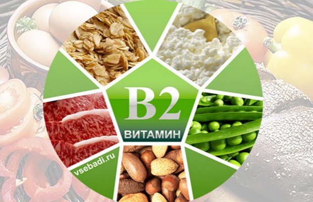 Витамин в2 содержится в продуктах
