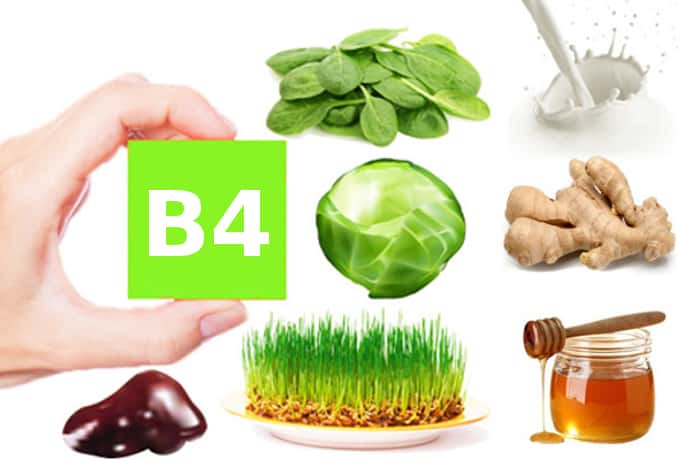 Витамин в4 в таблетках