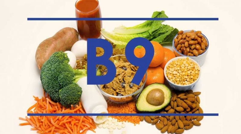 Витамин в9 для чего нужен организму