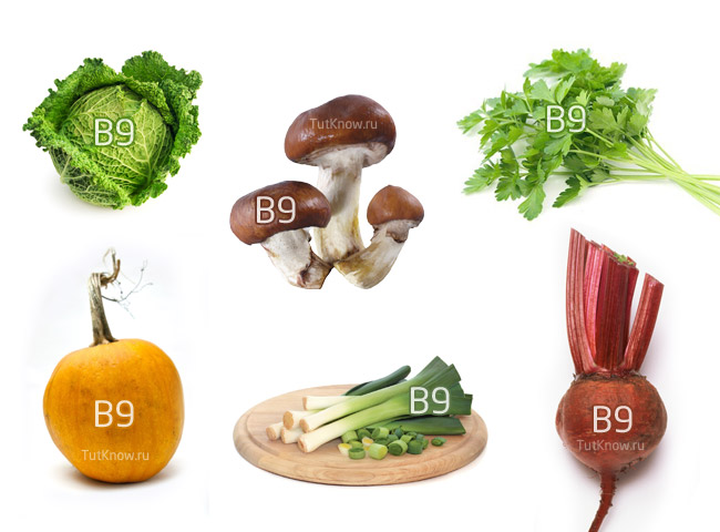 Витамин в9 в каких продуктах