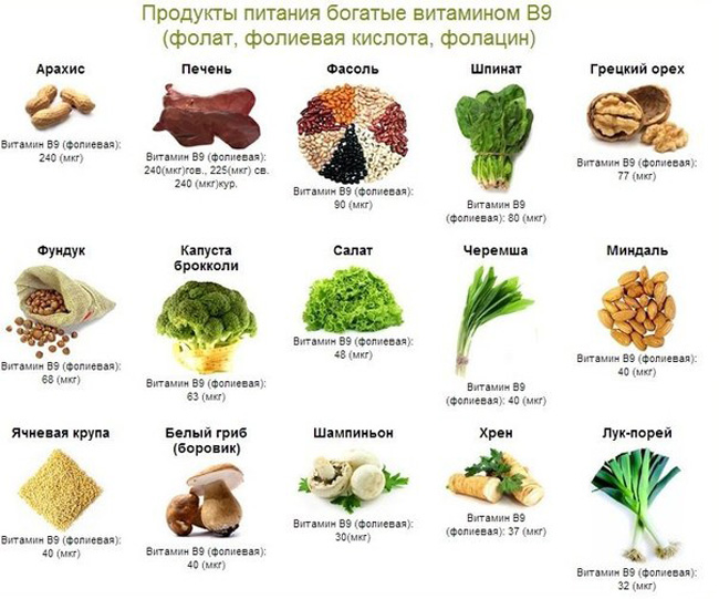 Витамин в9 в каких продуктах