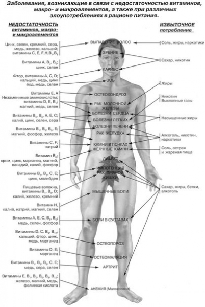 Витамины для мышечной массы