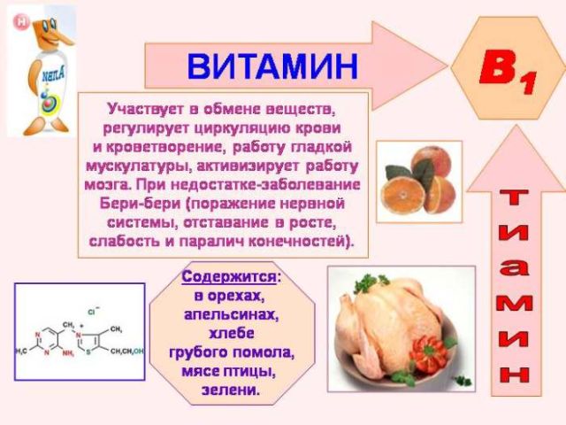 Витамины для учащихся и студентов