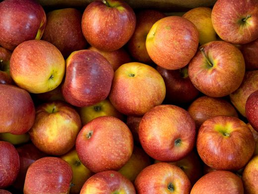 Витамины в яблоке список