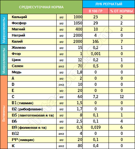 Витамины в луке репчатом