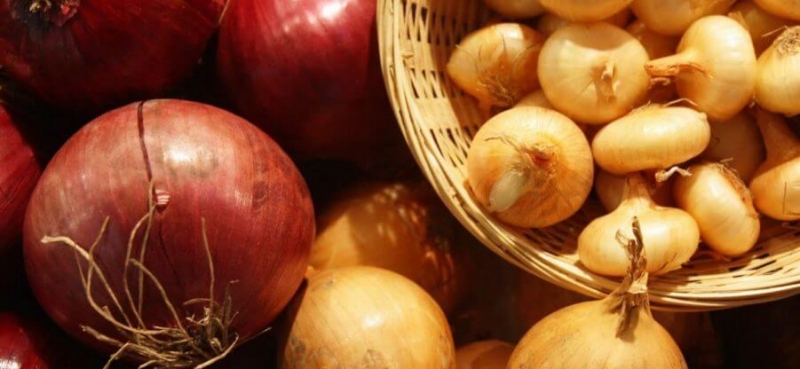 Витамины в луке репчатом
