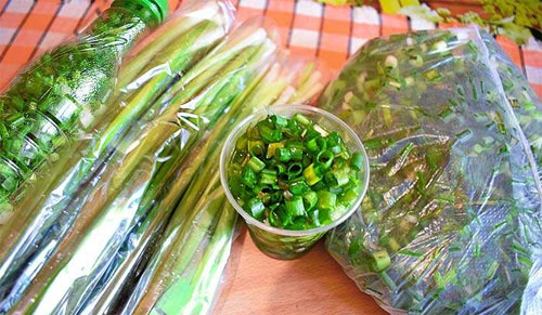 Витамины в зеленом луке