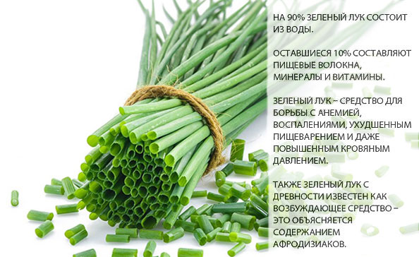 Витамины в зеленом луке