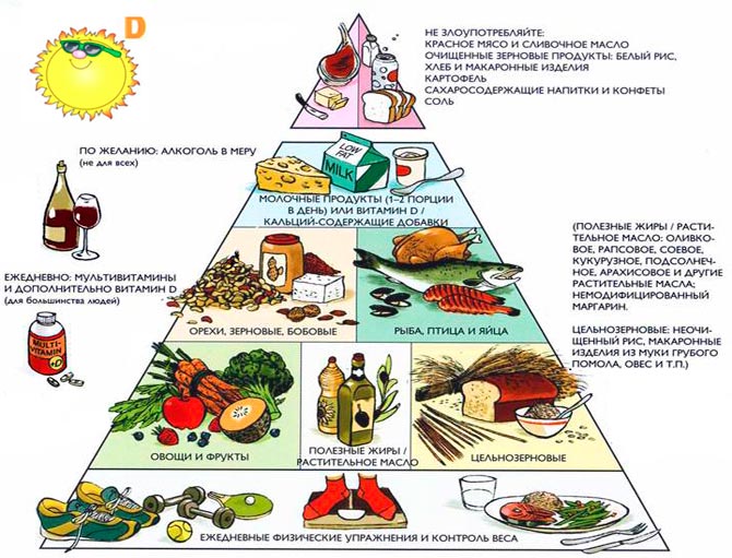 Влияние витамина д на организм человека