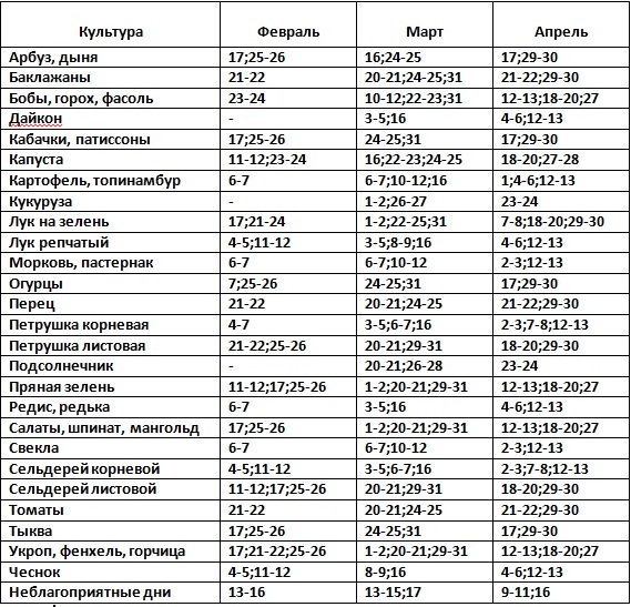 Выбираем лучшие дни в 2018 году для посадки лука по лунному календарю