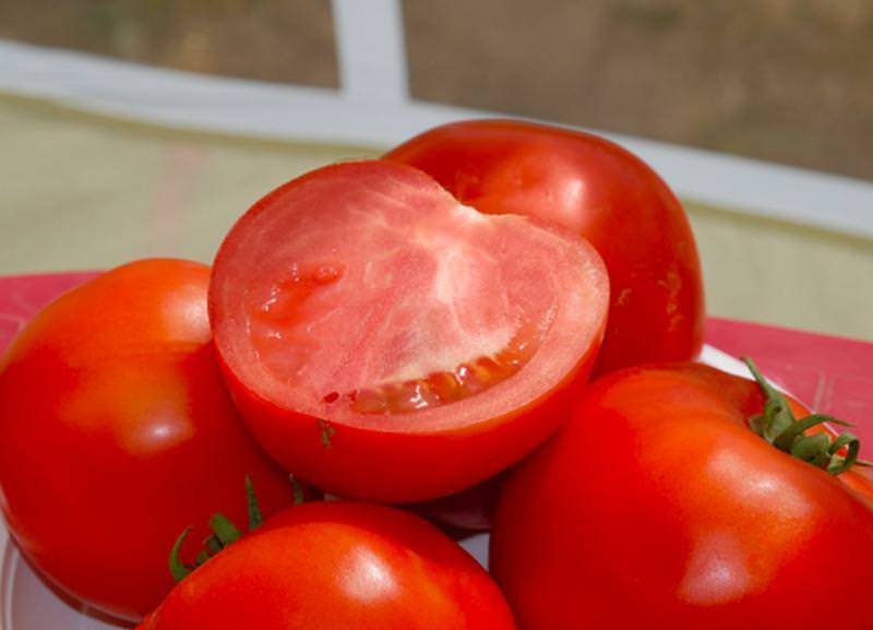 Выращивание томата сорта бобкат