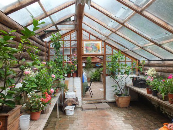 Забытое старое — подземная теплица