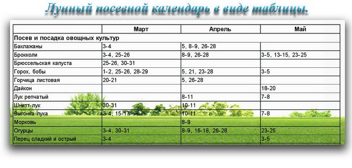 Зачем нужен лунный календарь посадки цветов?