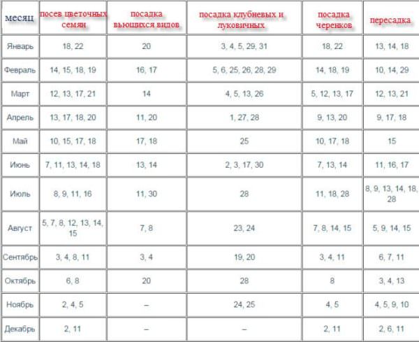 Зачем нужен лунный календарь посадки цветов?