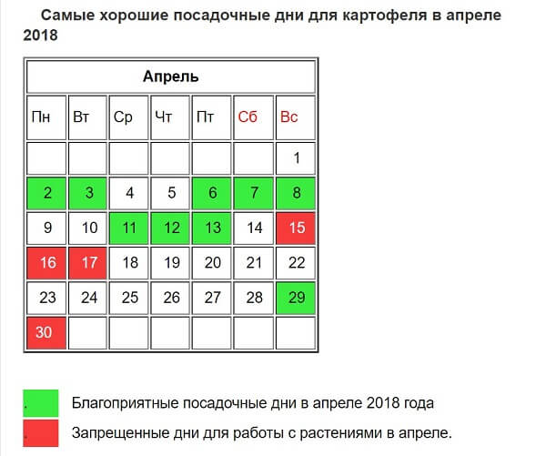 Зачем нужен лунный календарь посадки цветов?