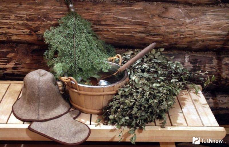 Заготовка веников для бани – русские традиции – всё о банях