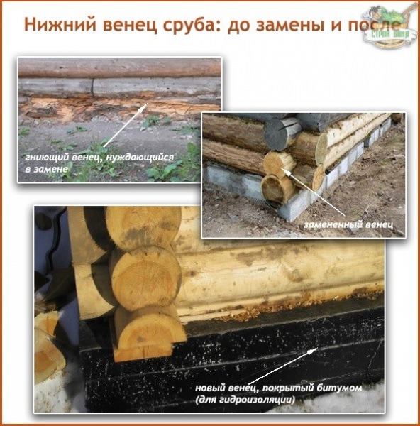 Замена нижних венцов сруба: способы полной и частичной замены сгнивших бревен в первом венце – всё о банях