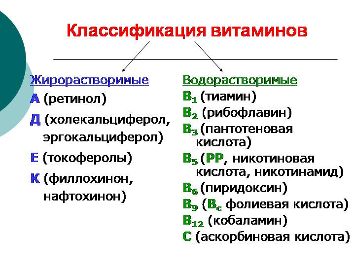 Жирорастворимые витамины общая характеристика