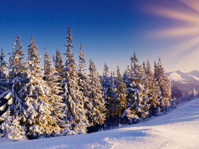 Зимнее солнцестояние: обряды и ритуалы в самую длинную ночь года