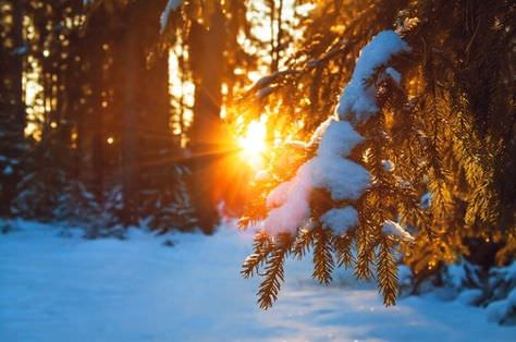 Зимнее солнцестояние: обряды и ритуалы в самую длинную ночь года