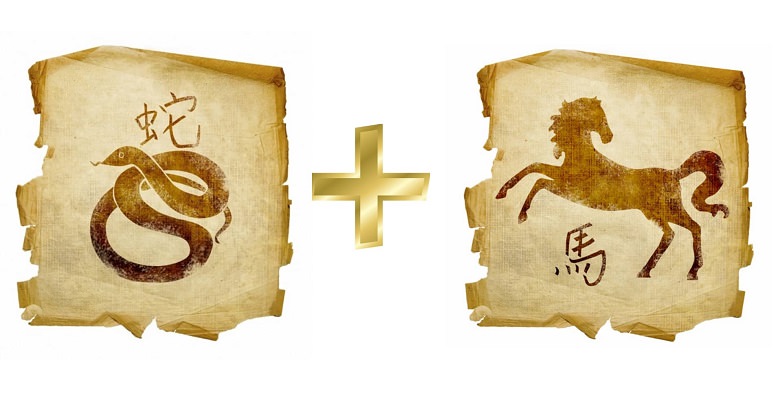 Змея и лошадь — совместимость мужчины и женщины в любви