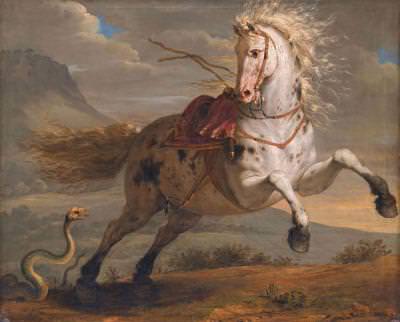 Змея и лошадь — совместимость мужчины и женщины в любви