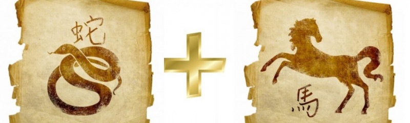 Змея и лошадь — совместимость мужчины и женщины в любви