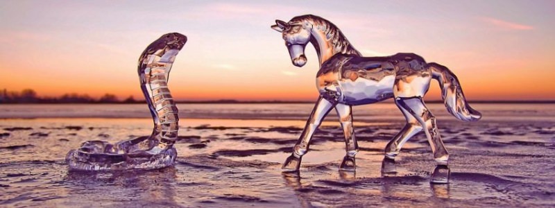 Змея и лошадь — совместимость мужчины и женщины в любви