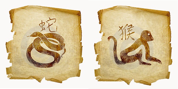 Змея и обезьяна — совместимость мужчины и женщины в любви