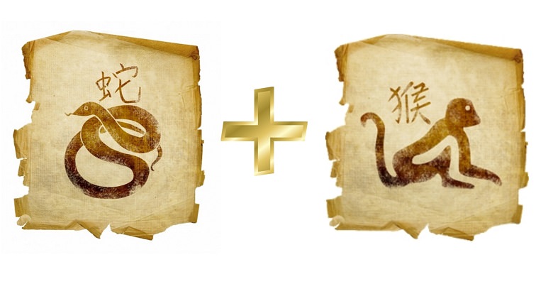 Змея и обезьяна — совместимость мужчины и женщины в любви