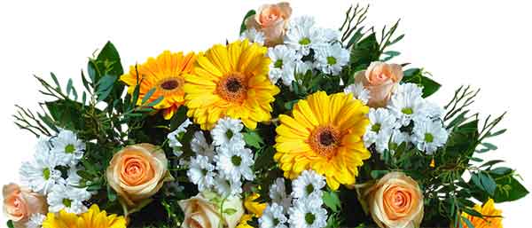 Значение цветов в букете — описание каждого вида, для какого случая подходит