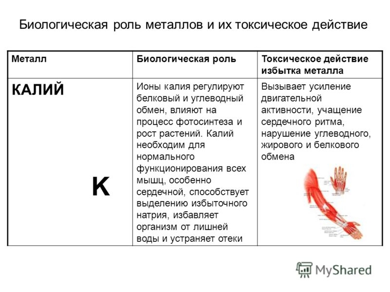 Значение калия в организме