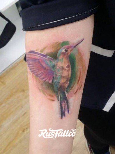 Значение, которым обладает красочное тату с колибри — символика, кому подходит