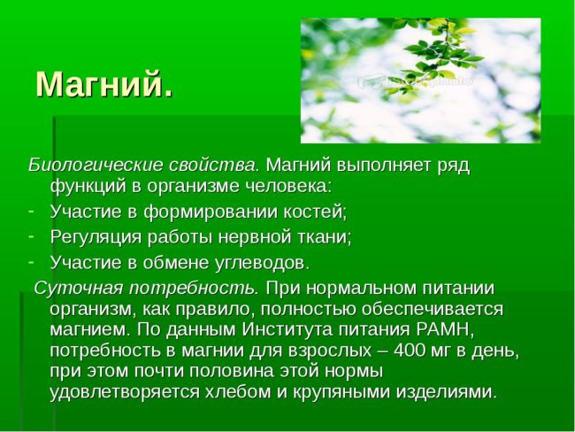 Значение магния в организме человека