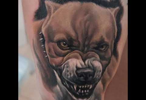 Значение тату Питбуль, её разновидности и особенности размещения